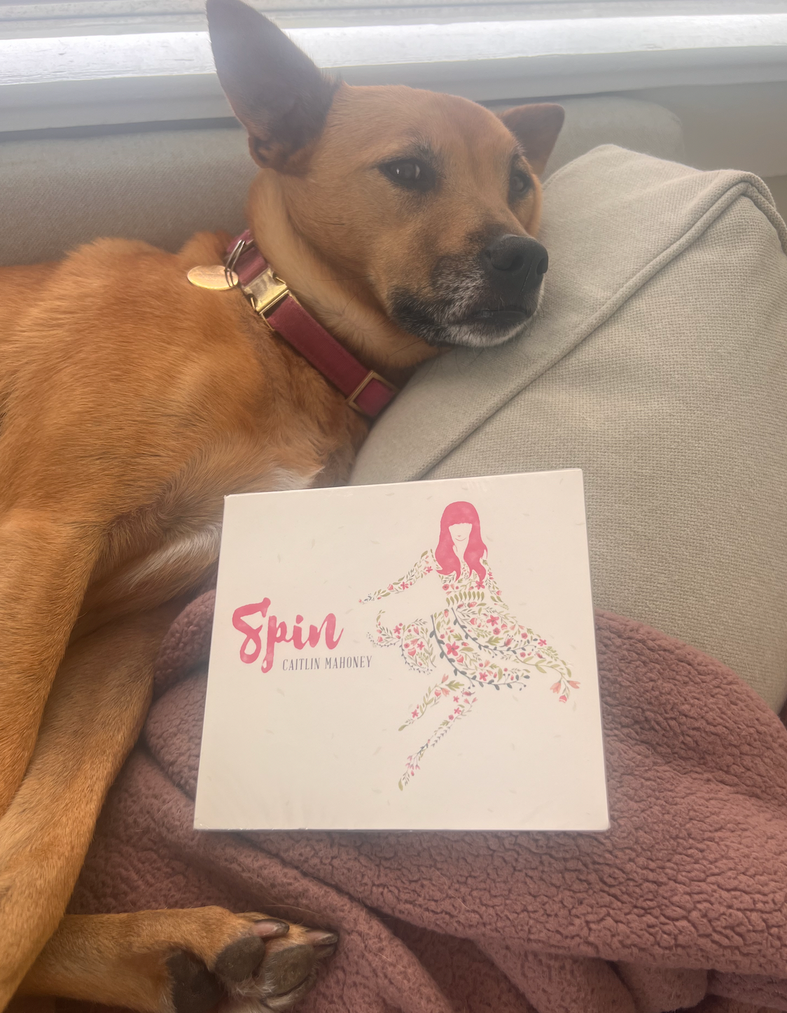 Spin CD